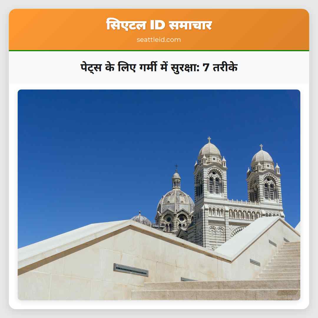 पेट्स के लिए गर्मी में सुरक्षा: 7 तरीके