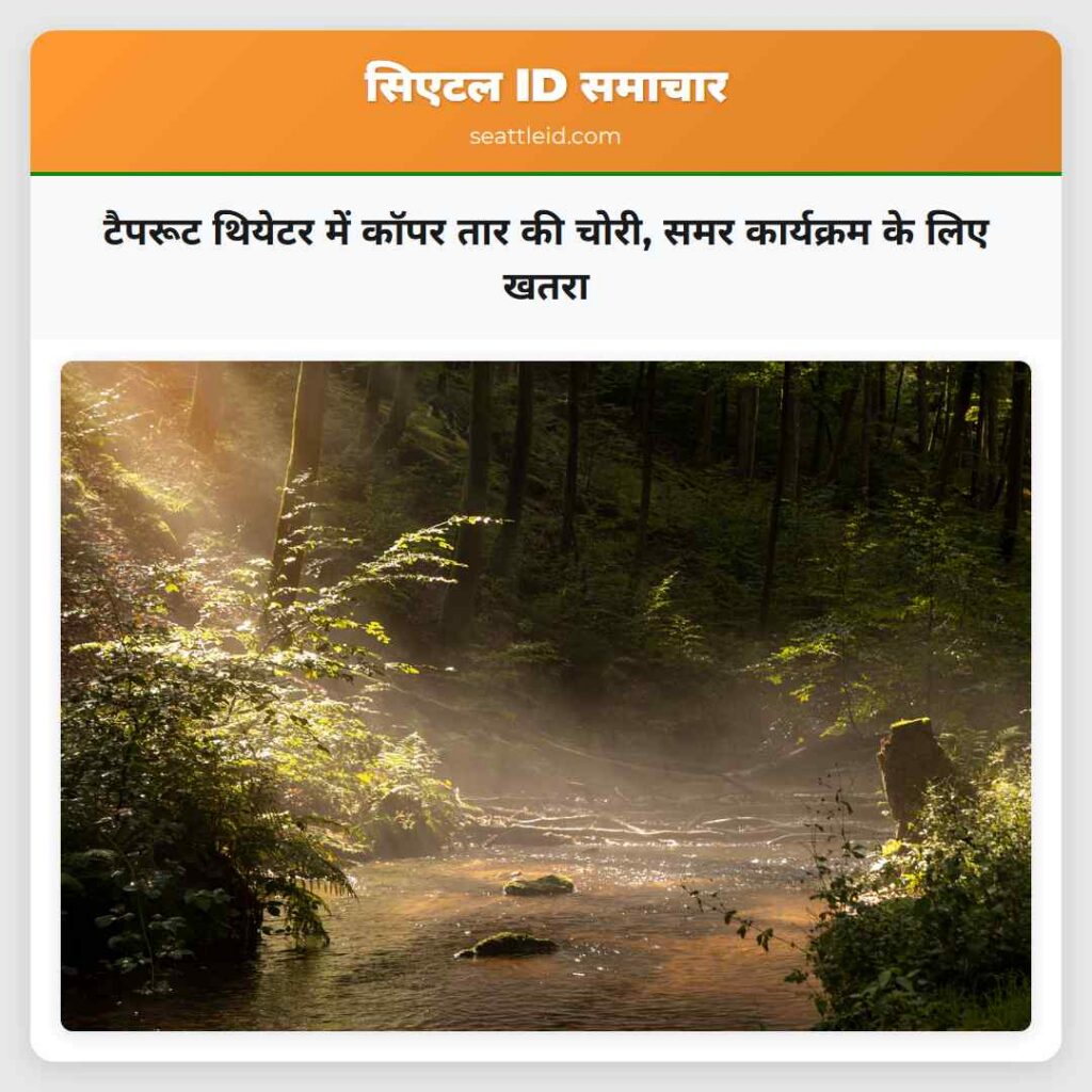 टैपरूट थियेटर में कॉपर तार की चोरी, समर कार्यक्रम