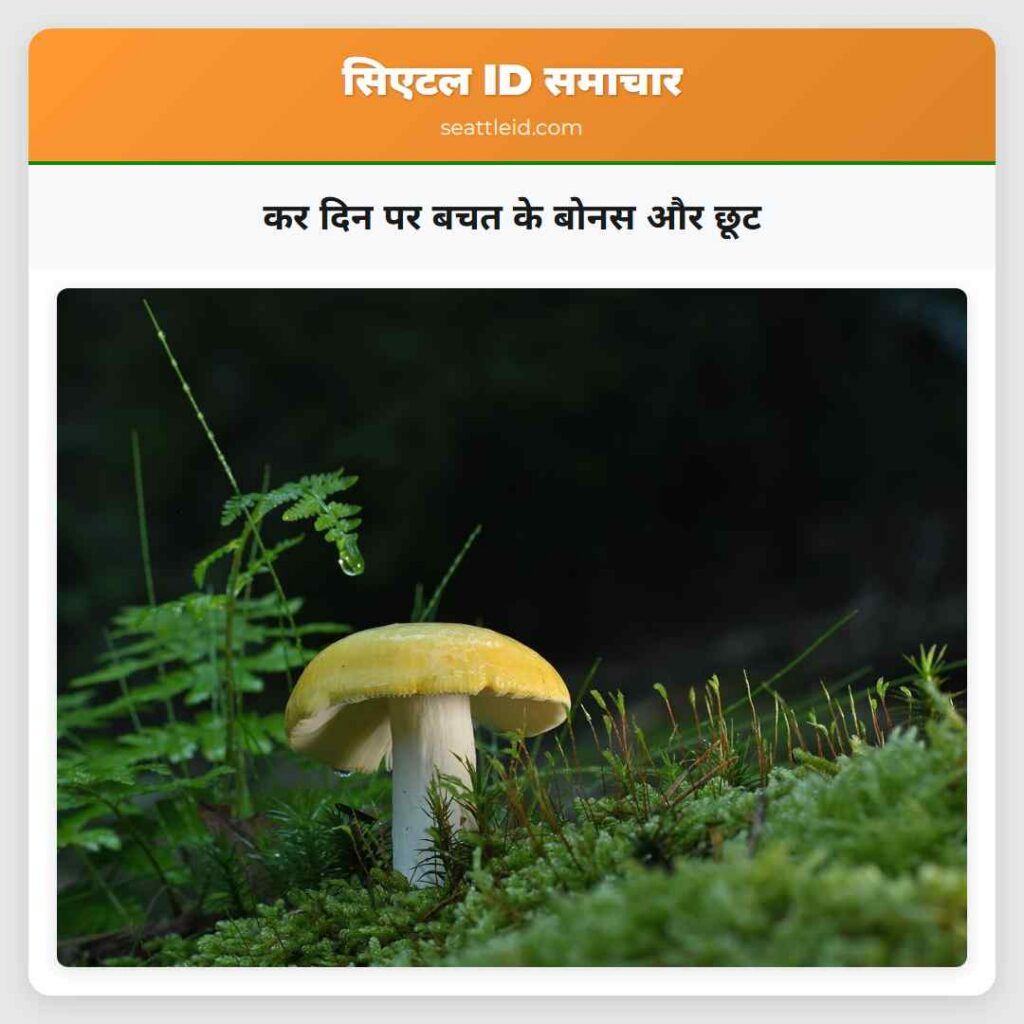 कर दिन पर बचत के बोनस और छूट
