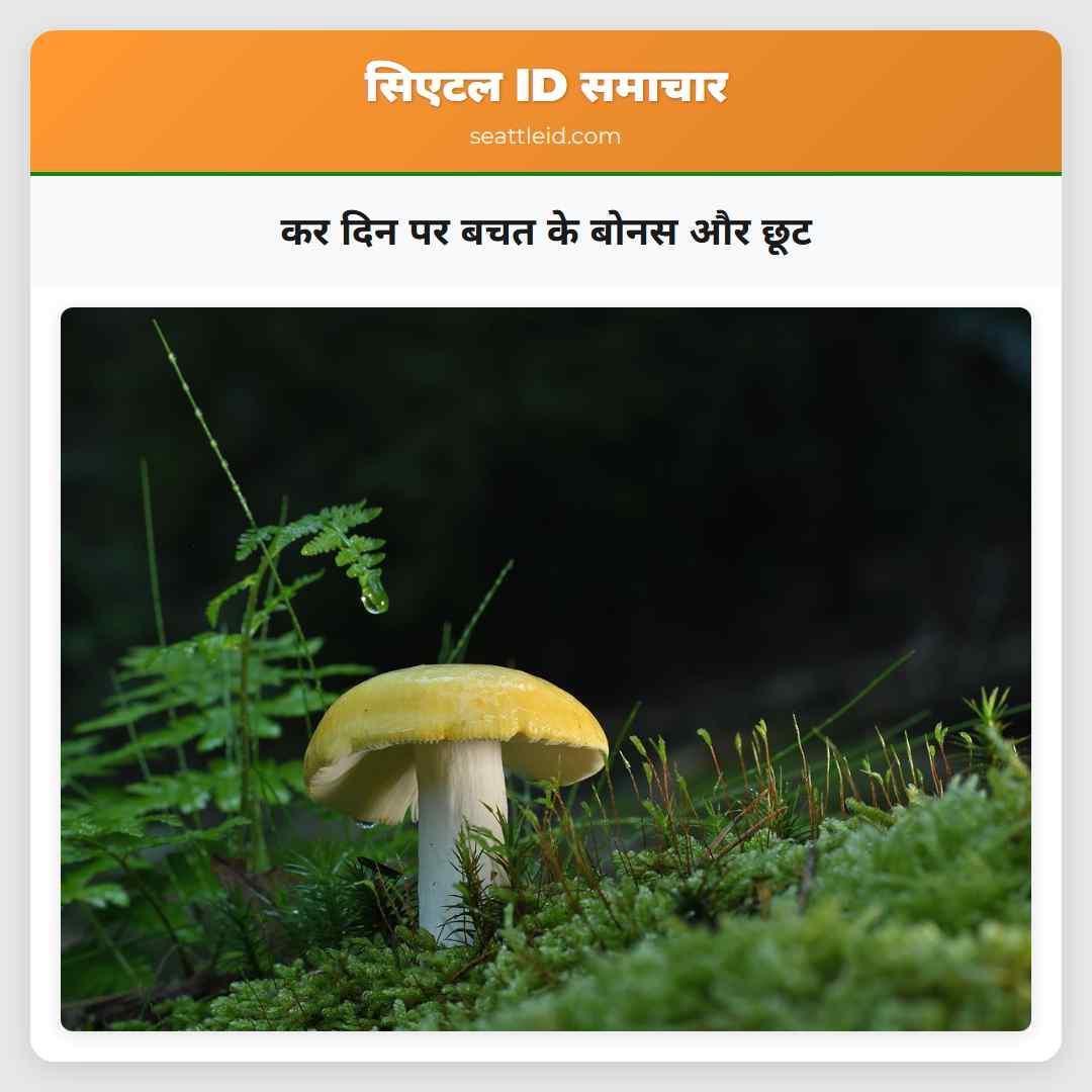 कर दिन पर बचत के बोनस और छूट