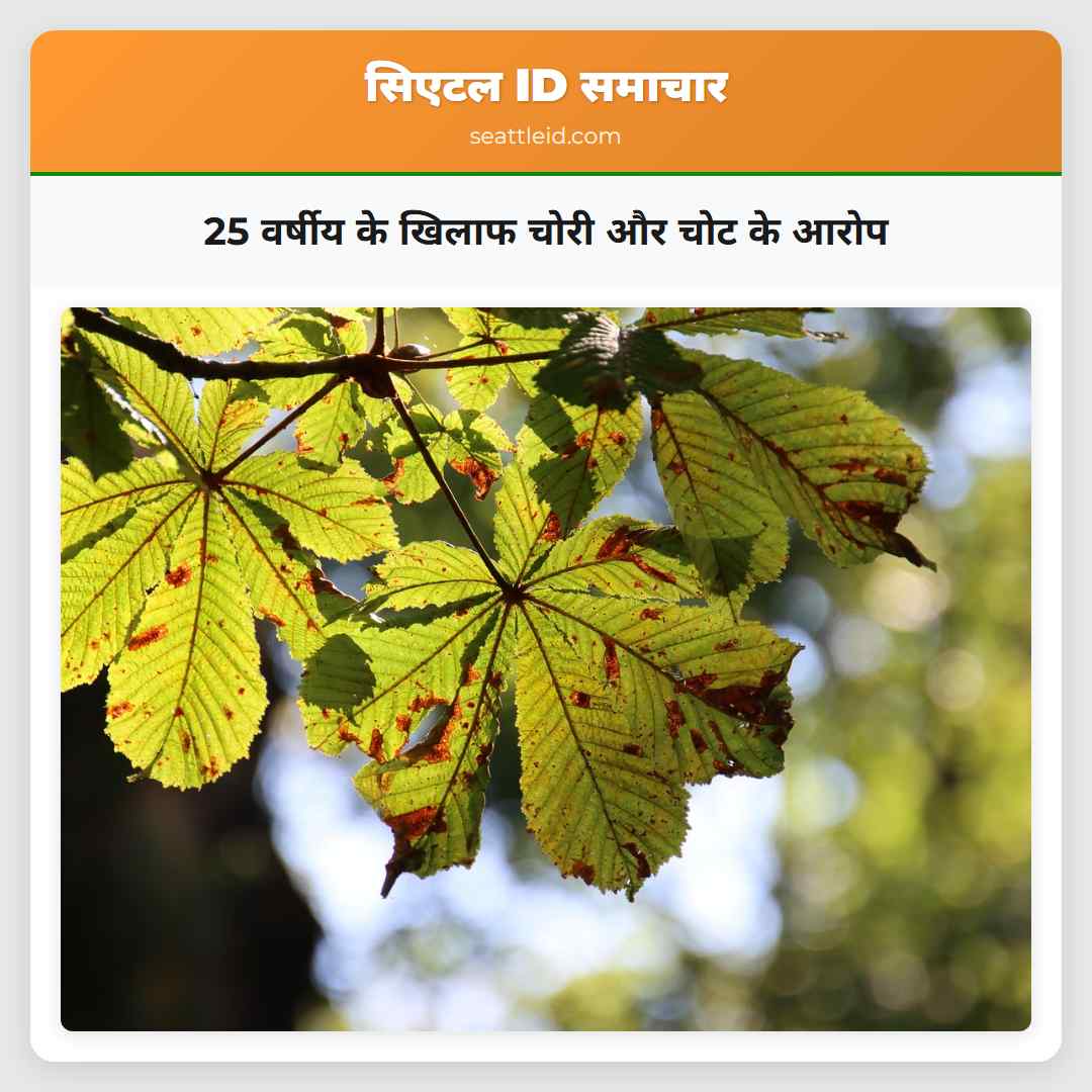 25 वर्षीय के खिलाफ चोरी और चोट के आरोप