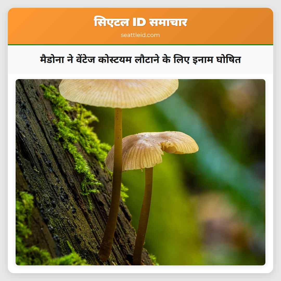 मैडोना ने वेंटेज कोस्टयम लौटाने के लिए इनाम घोषित