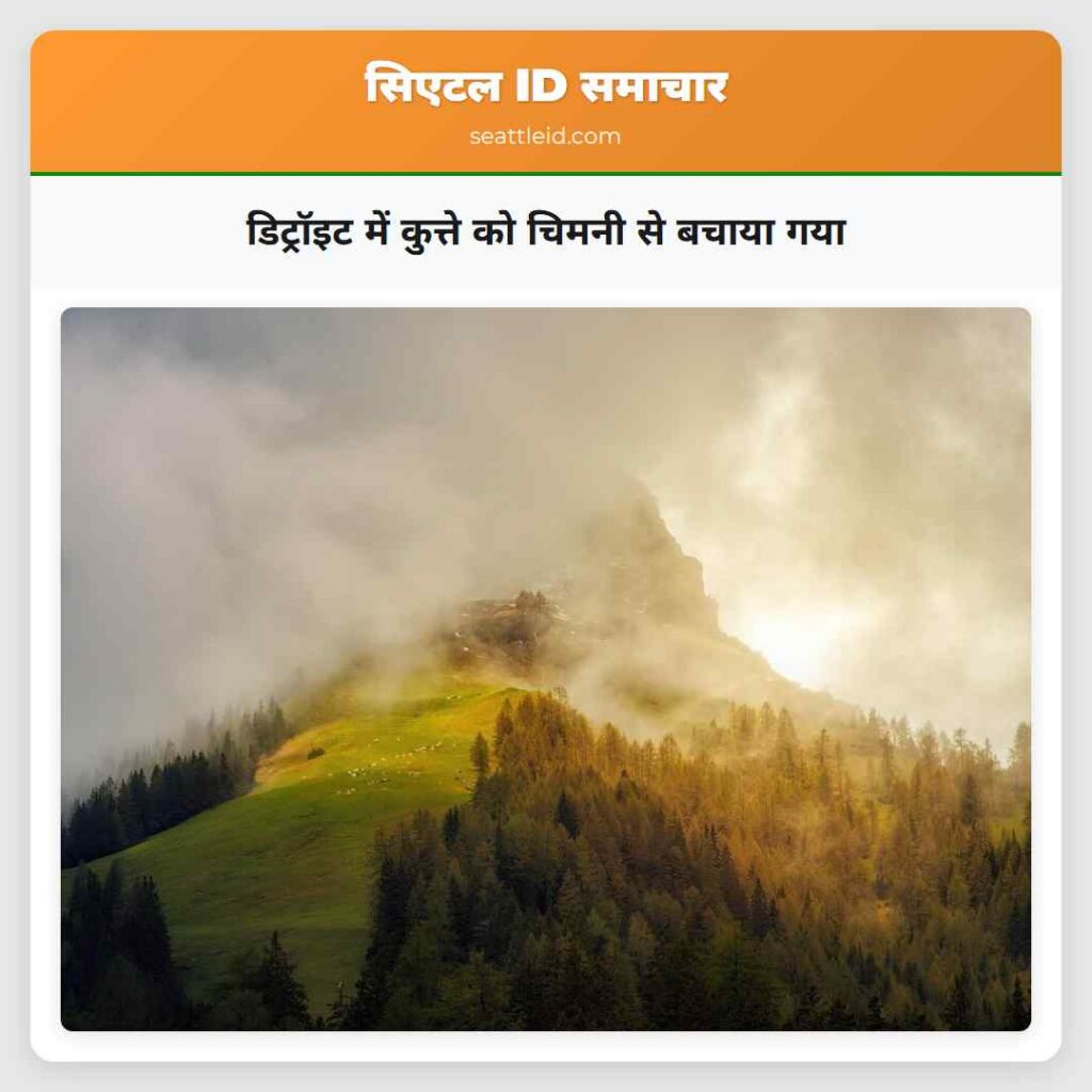 डिट्रॉइट में कुत्ते को चिमनी से बचाया गया