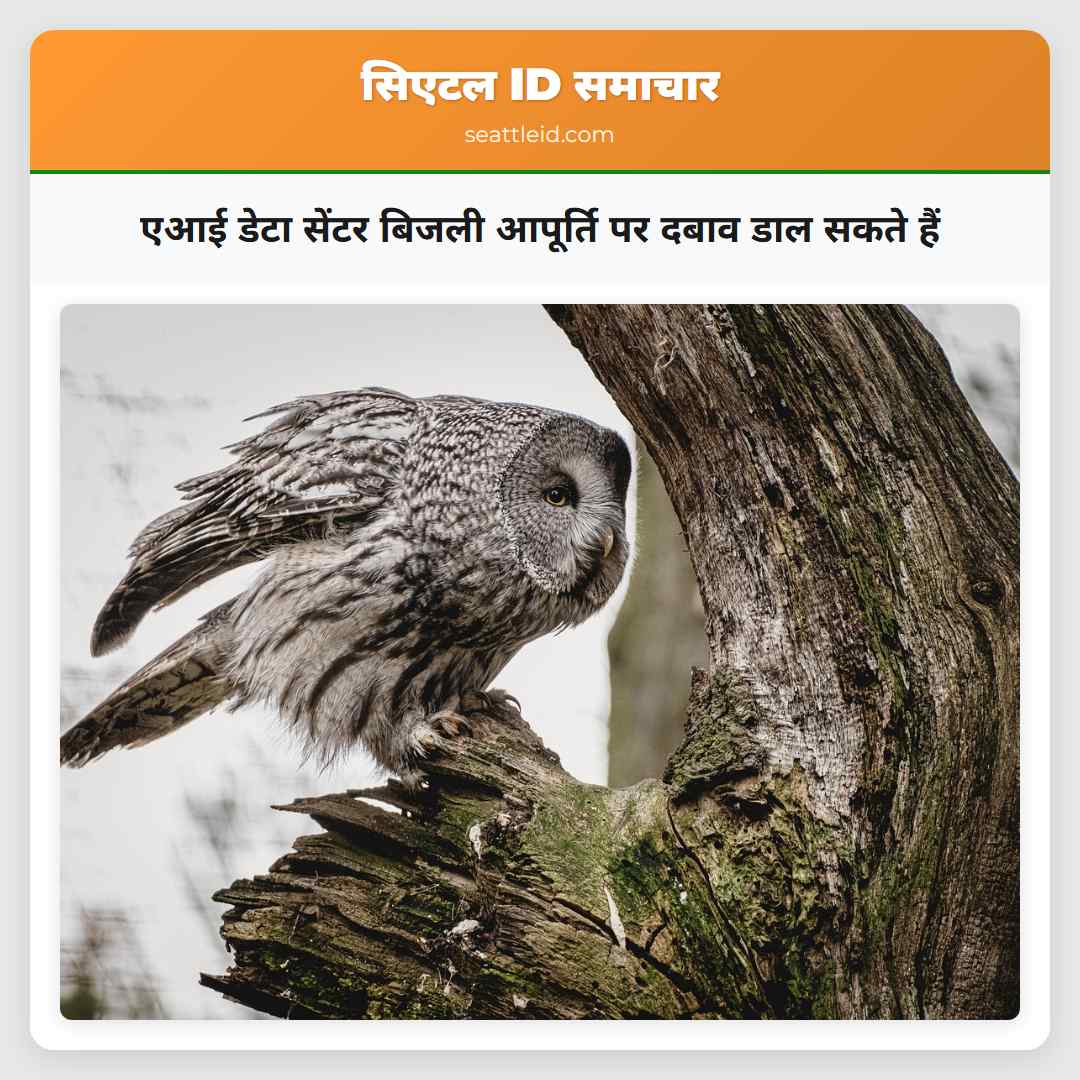 एआई डेटा सेंटर बिजली आपूर्ति पर दबाव डाल सकते हैं