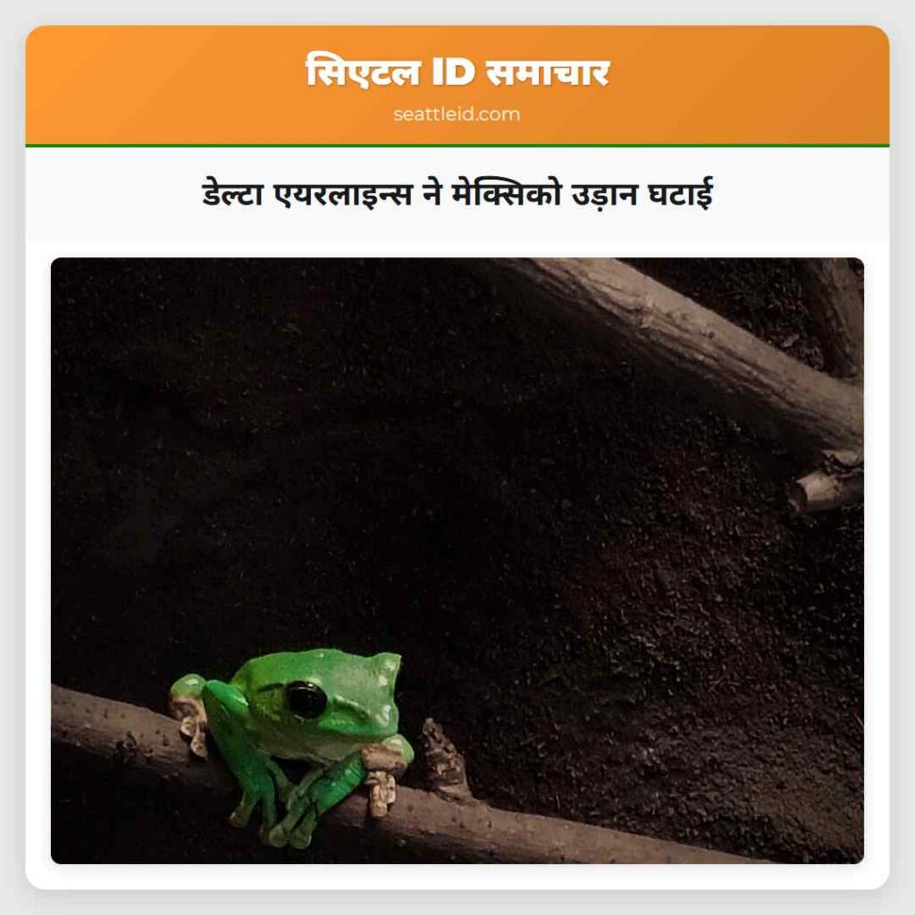 डेल्टा एयरलाइन्स ने मेक्सिको उड़ान घटाई