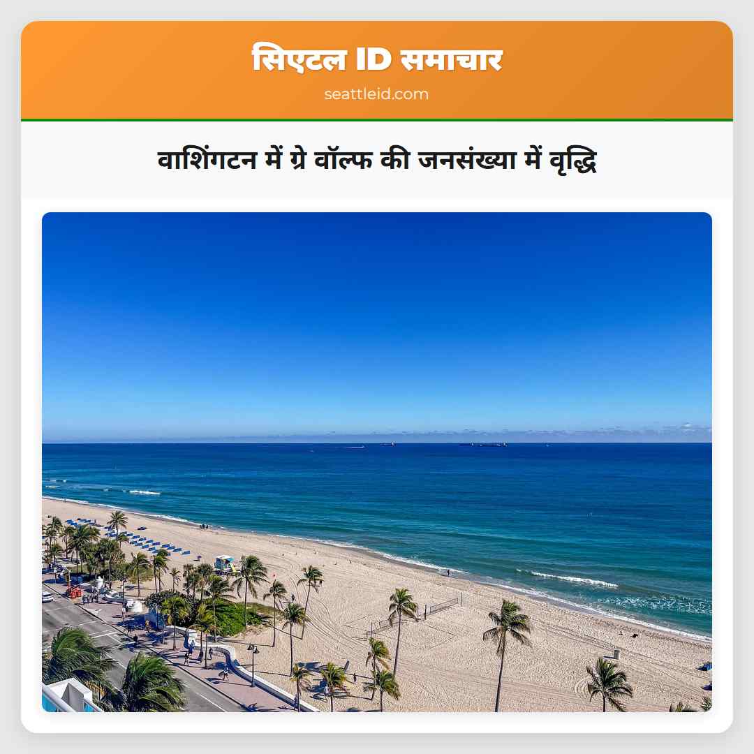 वाशिंगटन में ग्रे वॉल्फ की जनसंख्या में वृद्धि