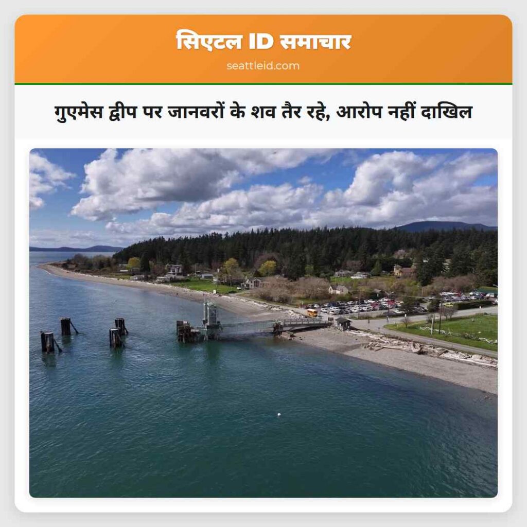 गुएमेस द्वीप पर जानवरों के शव तैर रहे, आरोप नहीं