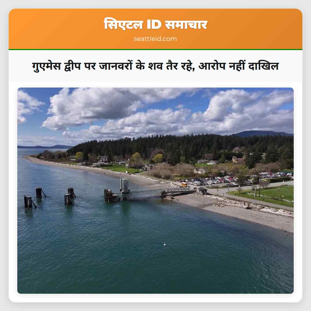 गुएमेस द्वीप पर जानवरों के शव तैर रहे, आरोप नहीं