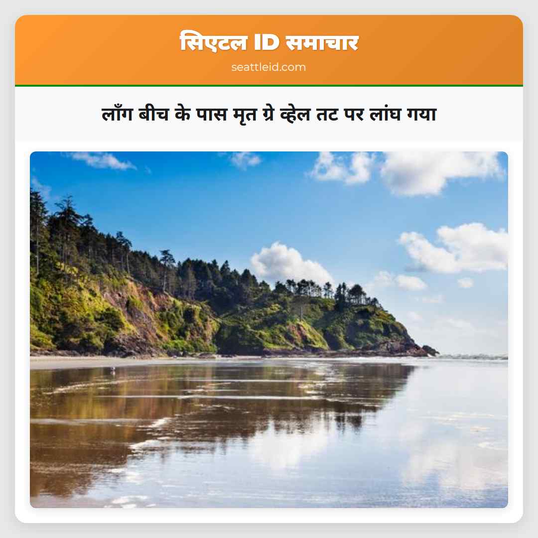 लॉंग बीच के पास मृत ग्रे व्हेल तट पर लांघ गया