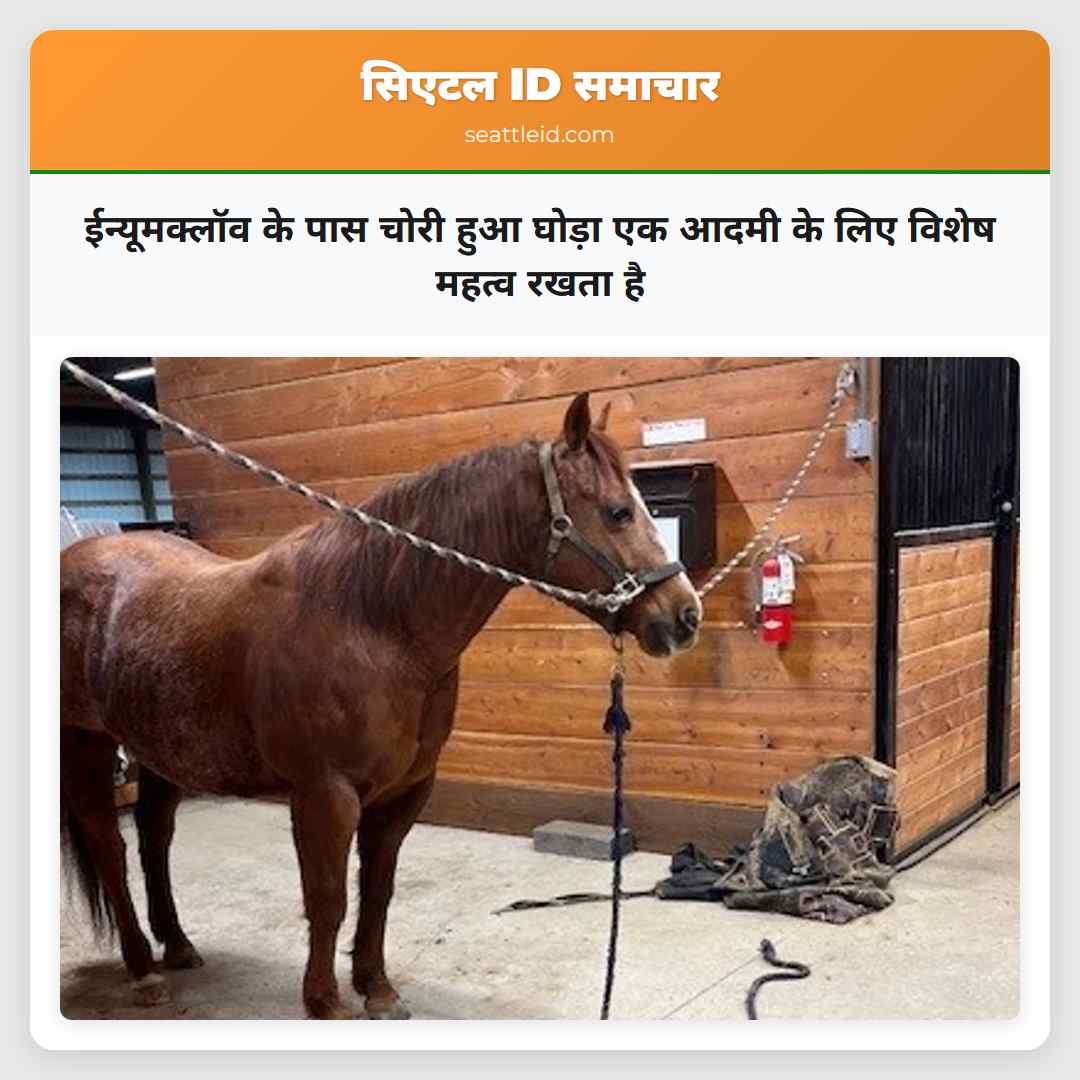 ईन्यूमक्लॉव के पास चोरी हुआ घोड़ा एक आदमी के लिए