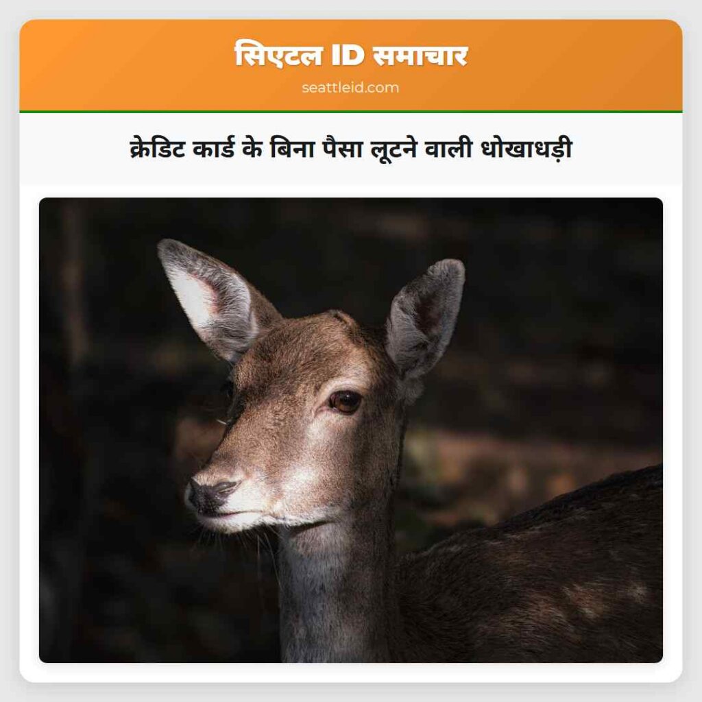 क्रेडिट कार्ड के बिना पैसा लूटने वाली धोखाधड़ी