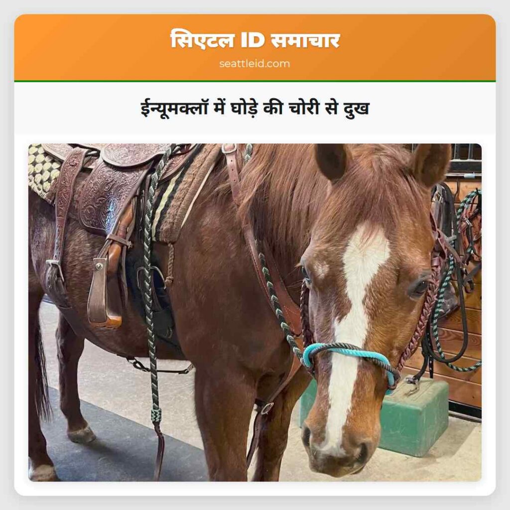 ईन्यूमक्लॉ में घोड़े की चोरी से दुख