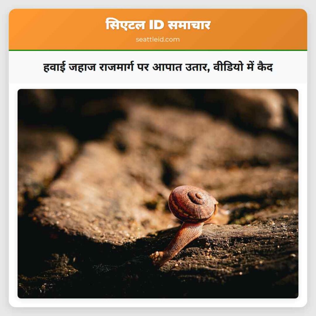 हवाई जहाज राजमार्ग पर आपात उतार, वीडियो में कैद