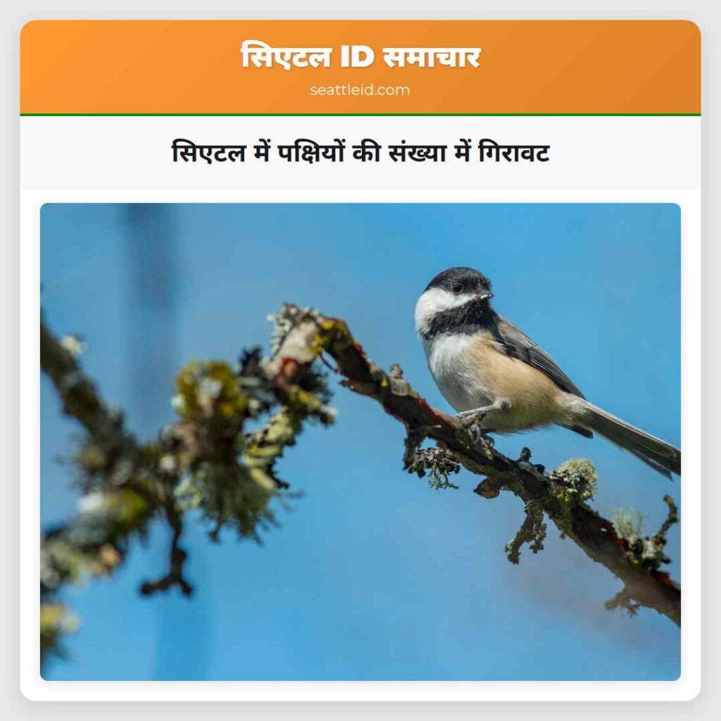 सिएटल में पक्षियों की संख्या में गिरावट