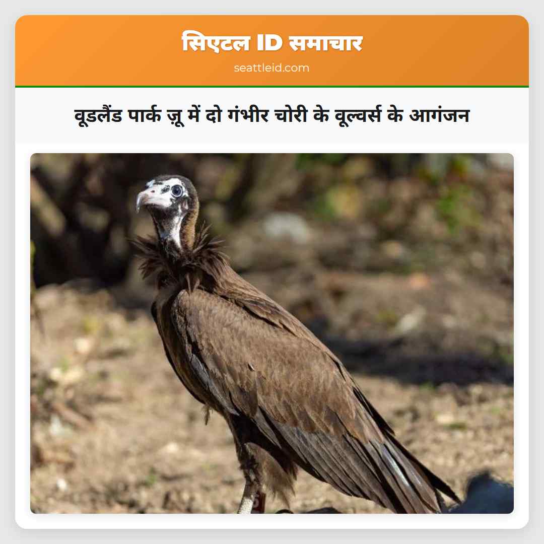 वूडलैंड पार्क ज़ू में दो गंभीर चोरी के वूल्वर्स