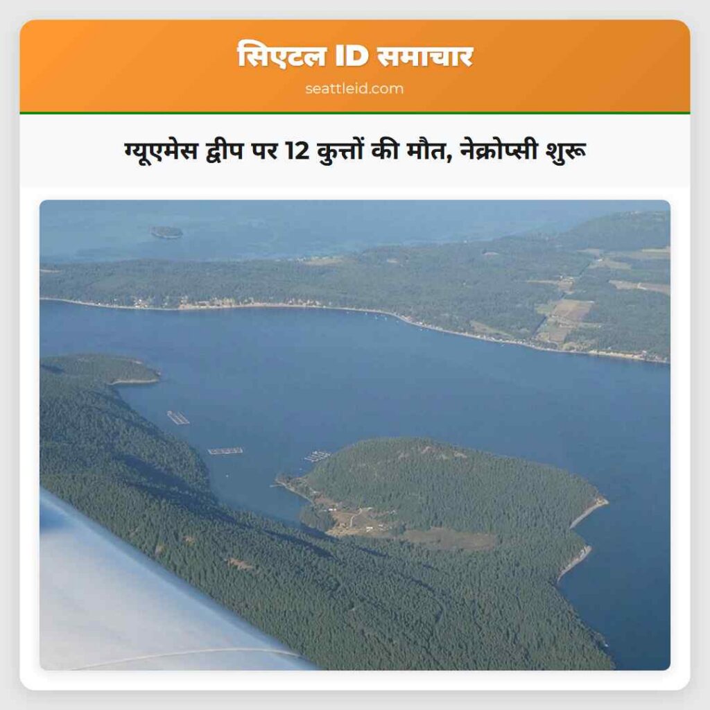 ग्यूएमेस द्वीप पर 12 कुत्तों की मौत, नेक्रोप्सी
