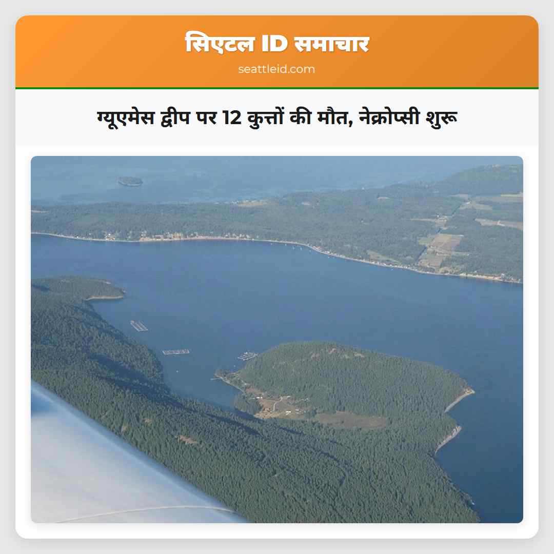 ग्यूएमेस द्वीप पर 12 कुत्तों की मौत, नेक्रोप्सी