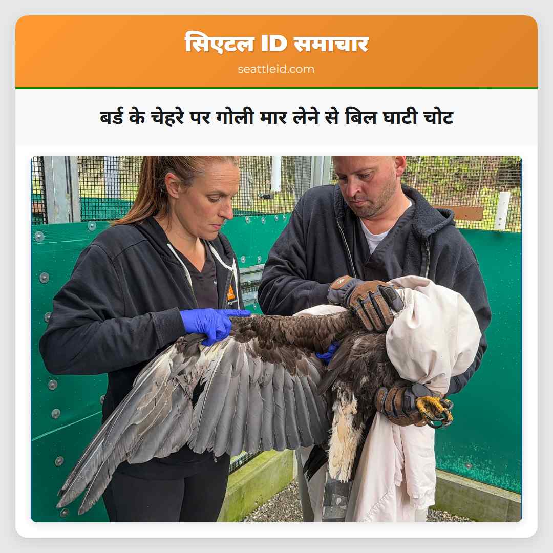 बर्ड के चेहरे पर गोली मार लेने से बिल घाटी चोट