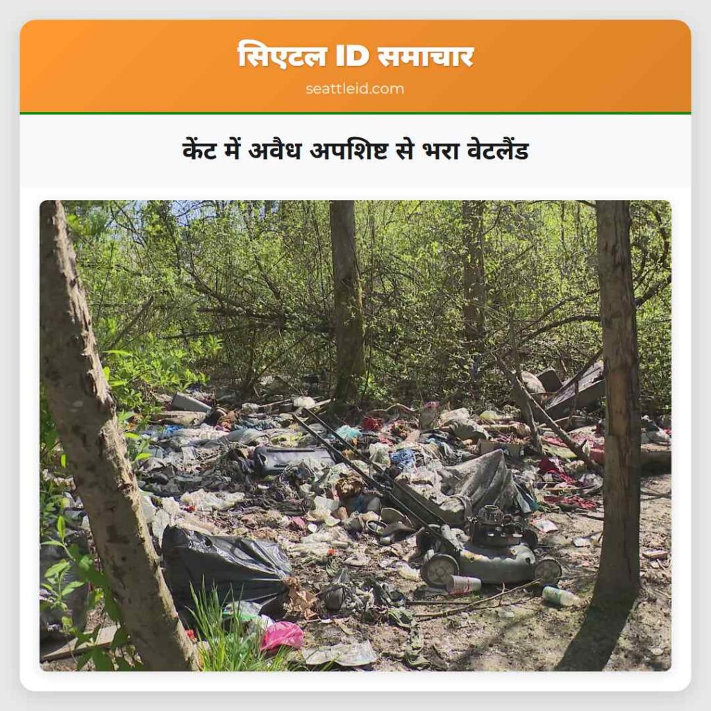 केंट में अवैध अपशिष्ट से भरा वेटलैंड