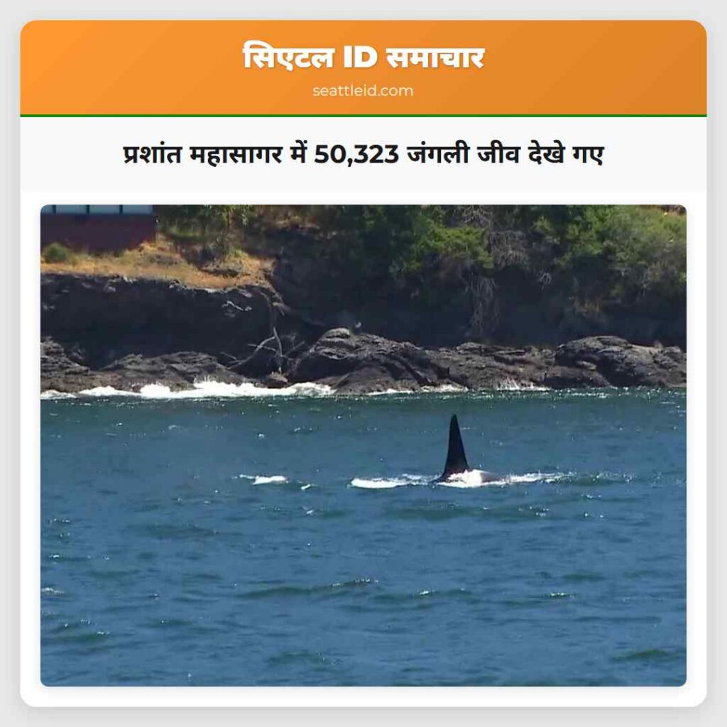 प्रशांत महासागर में 50,323 जंगली जीव देखे गए