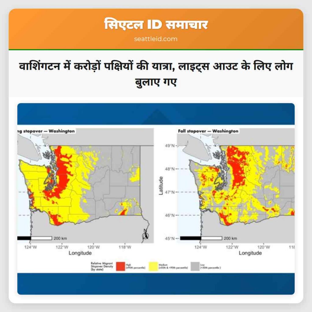 वाशिंगटन में करोड़ों पक्षियों की यात्रा, लाइट्स