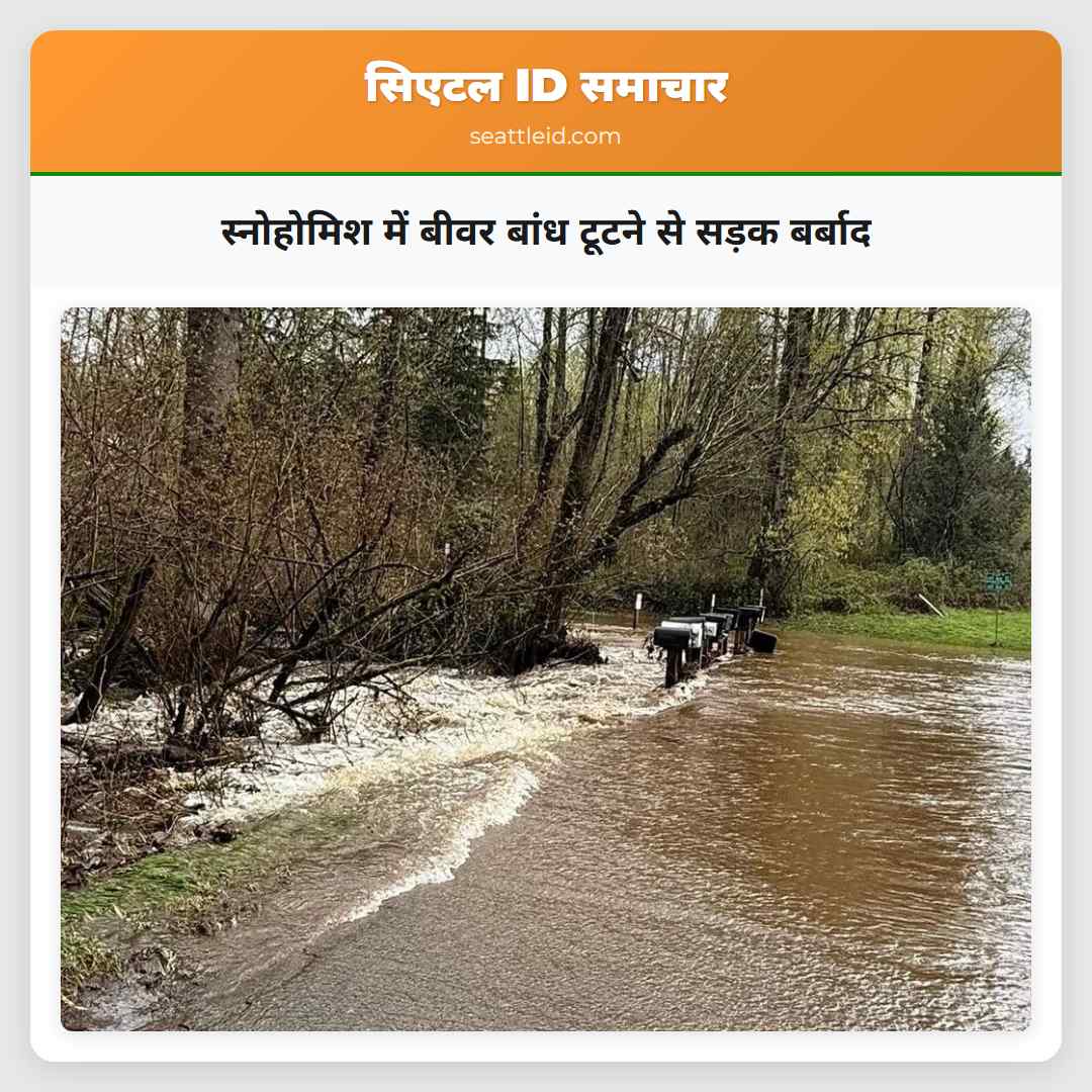 स्नोहोमिश में बीवर बांध टूटने से सड़क बर्बाद