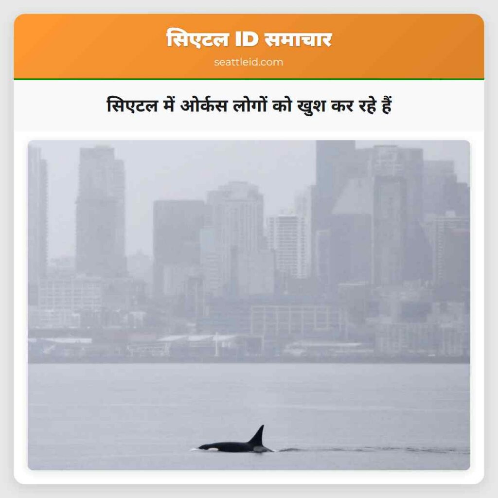 सिएटल में ओर्कस लोगों को खुश कर रहे हैं