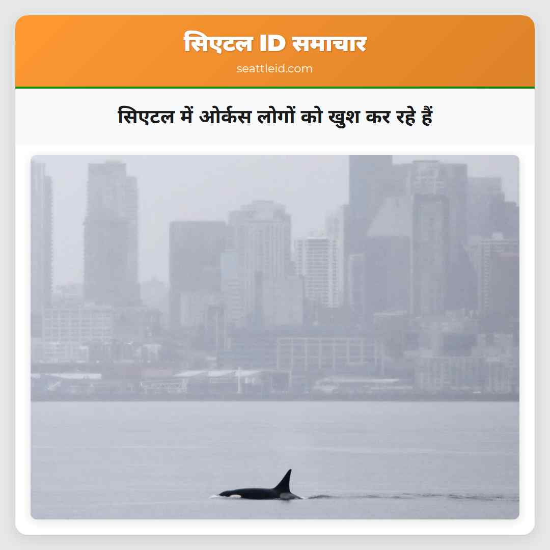 सिएटल में ओर्कस लोगों को खुश कर रहे हैं