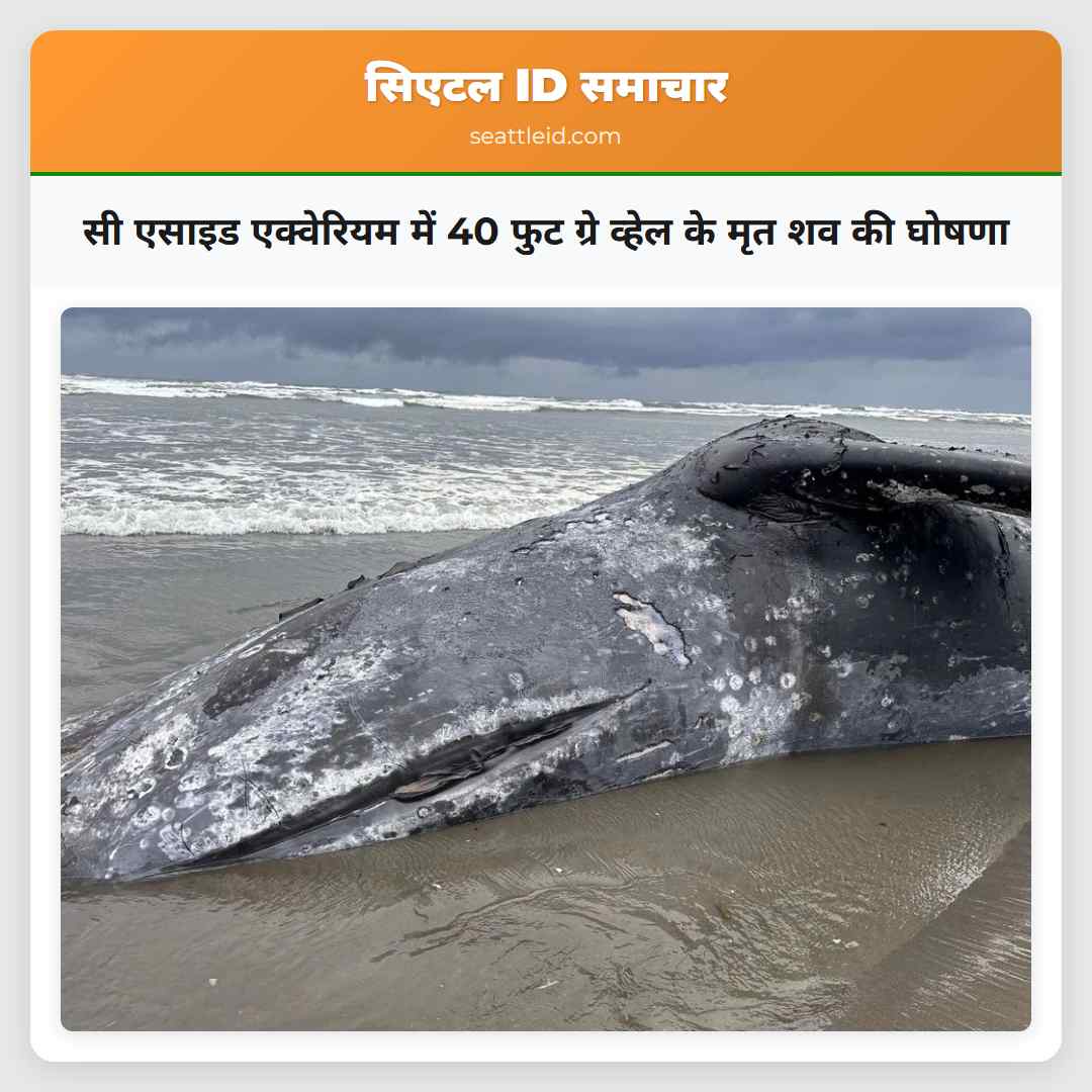 सी एसाइड एक्वेरियम में 40 फुट ग्रे व्हेल के मृत
