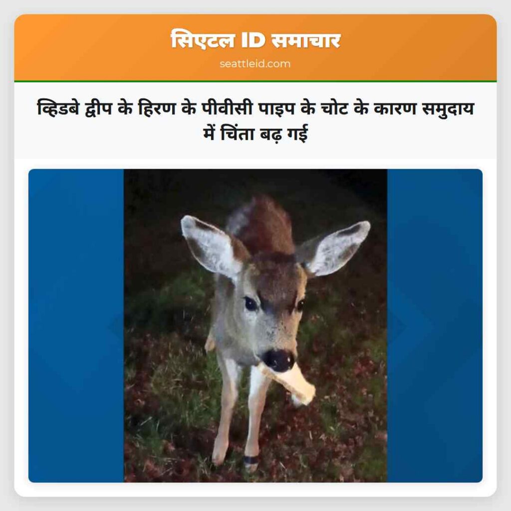 व्हिडबे द्वीप के हिरण के पीवीसी पाइप के चोट के