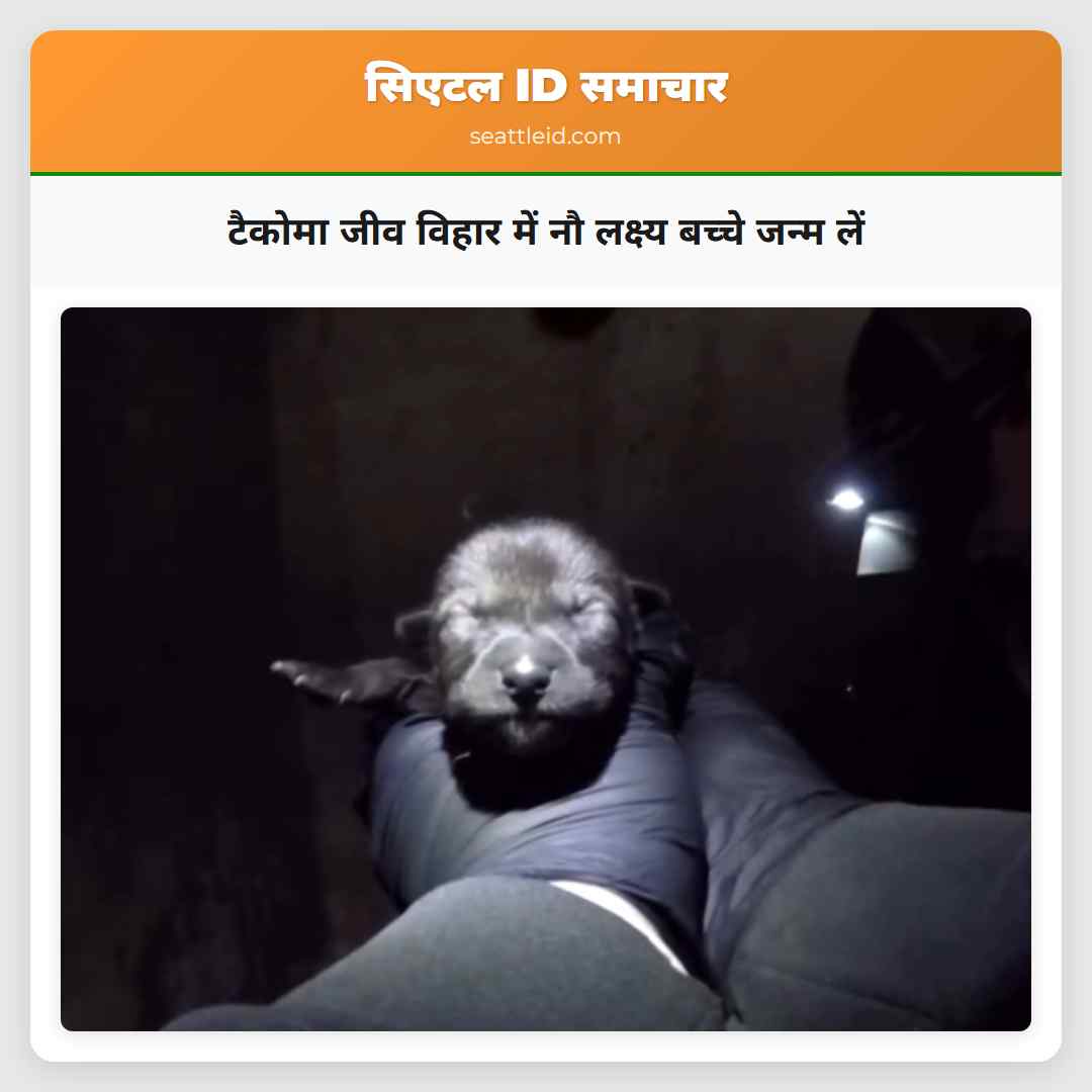 टैकोमा जीव विहार में नौ लक्ष्य बच्चे जन्म लें