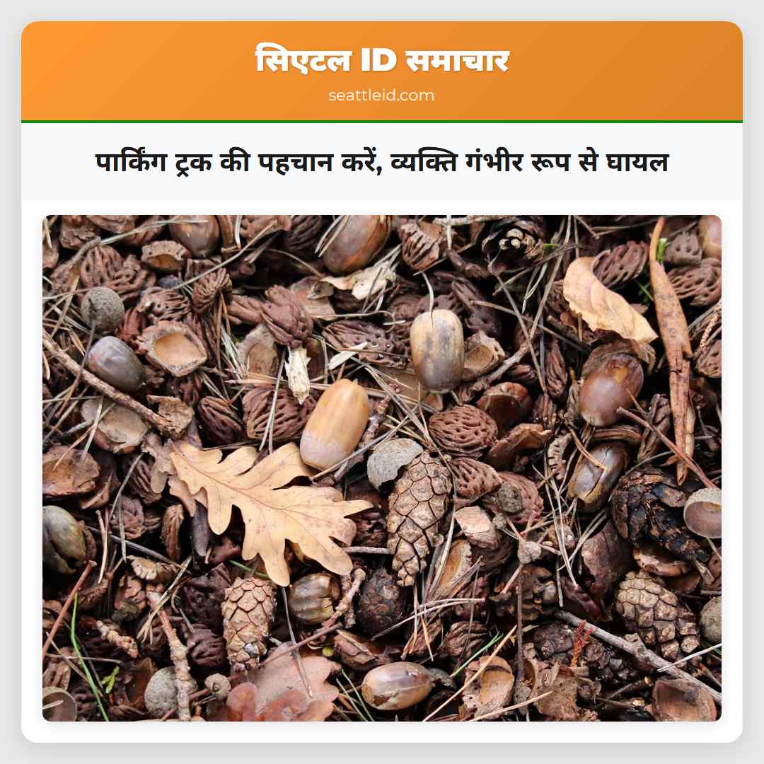 पार्किंग ट्रक की पहचान करें, व्यक्ति गंभीर रूप से