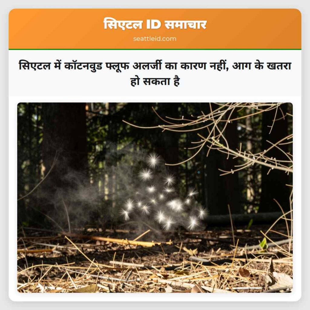 सिएटल में कॉटनवुड फ्लूफ अलर्जी का कारण नहीं, आग