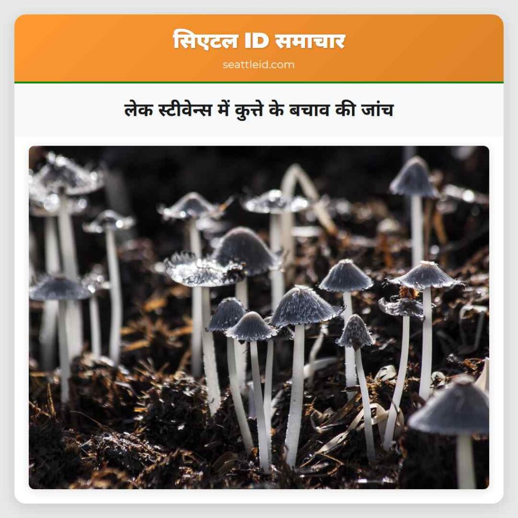 लेक स्टीवेन्स में कुत्ते के बचाव की जांच