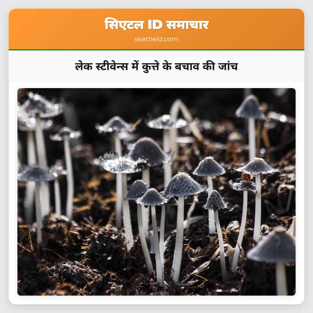 लेक स्टीवेन्स में कुत्ते के बचाव की जांच