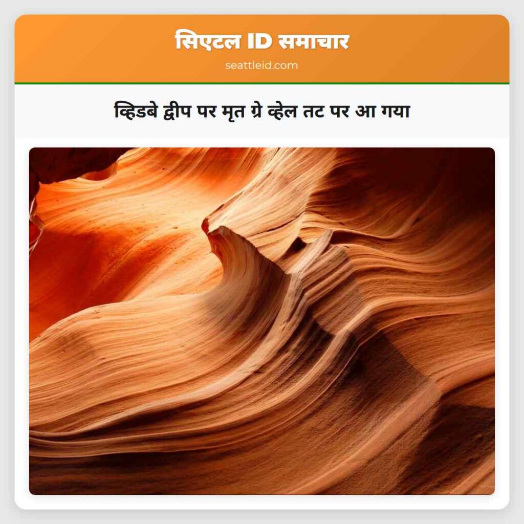 व्हिडबे द्वीप पर मृत ग्रे व्हेल तट पर आ गया