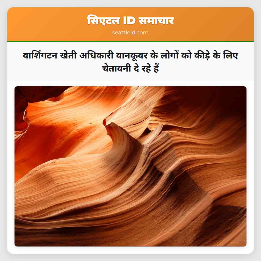 वाशिंगटन खेती अधिकारी वानकूवर के लोगों को कीड़े