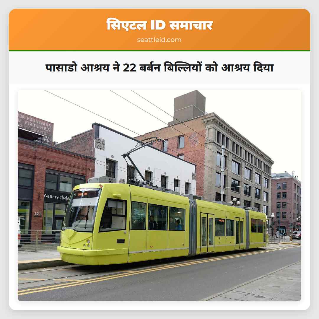 पासाडो आश्रय ने 22 बर्बन बिल्लियों को आश्रय दिया