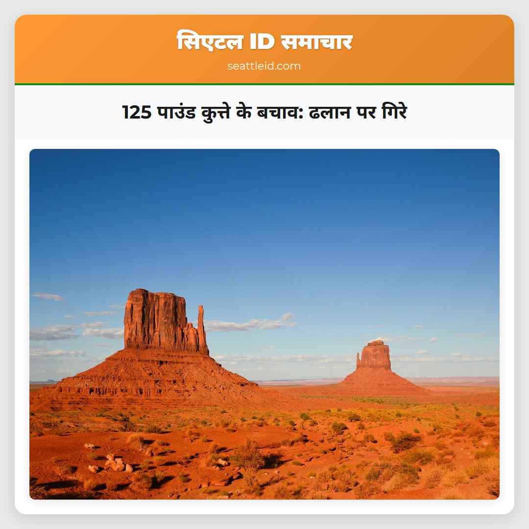 125 पाउंड कुत्ते के बचाव: ढलान पर गिरे