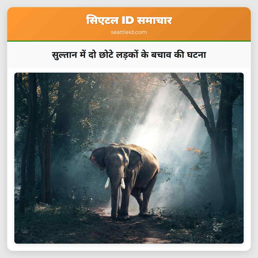 सुल्तान में दो छोटे लड़कों के बचाव की घटना