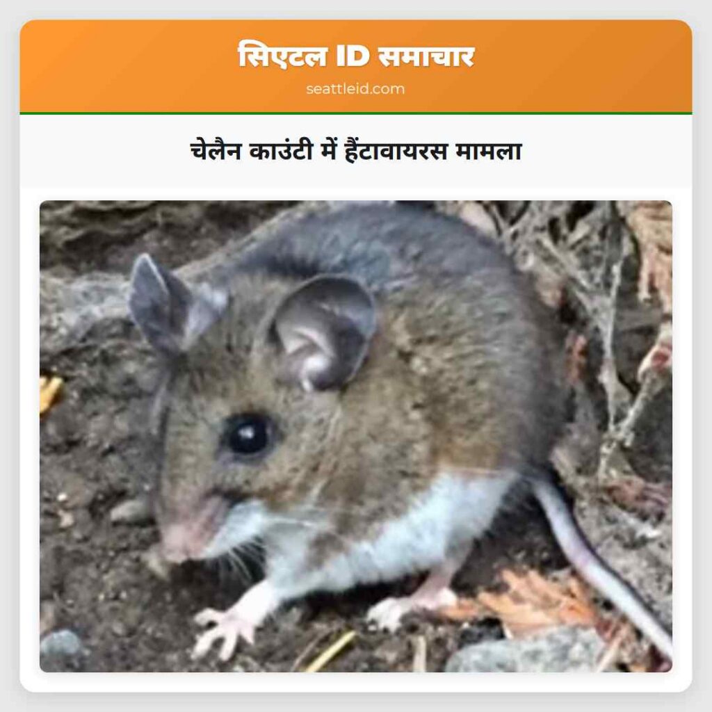 चेलैन काउंटी में हैंटावायरस मामला