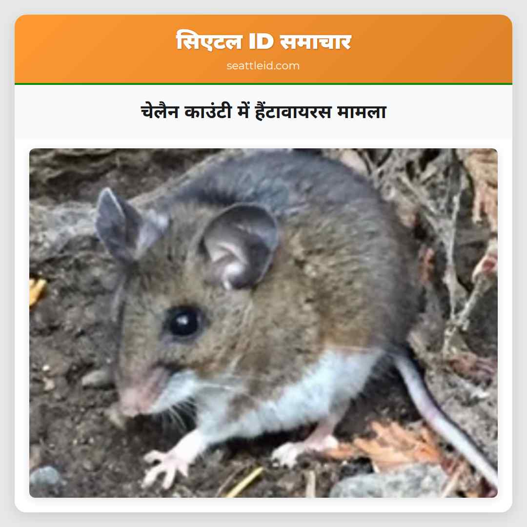 चेलैन काउंटी में हैंटावायरस मामला