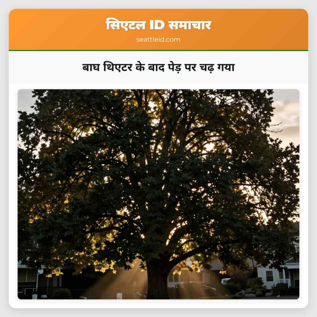 बाघ थिएटर के बाद पेड़ पर चढ़ गया