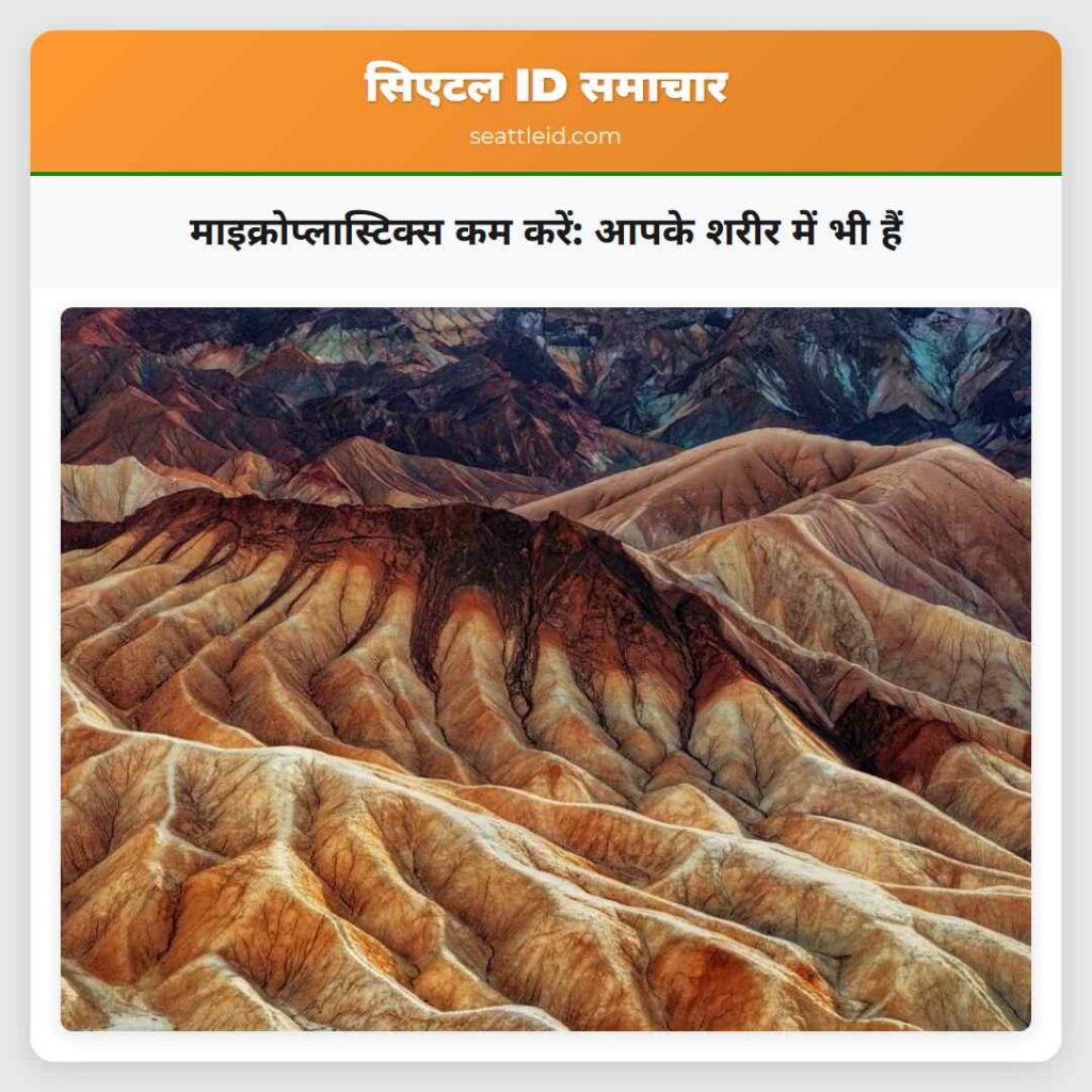 माइक्रोप्लास्टिक्स कम करें: आपके शरीर में भी हैं