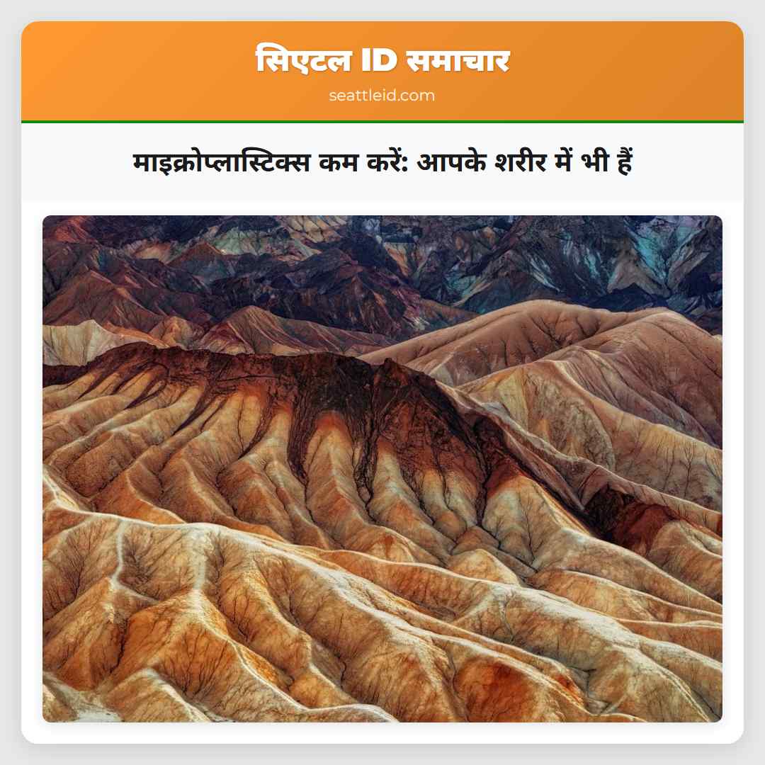 माइक्रोप्लास्टिक्स कम करें: आपके शरीर में भी हैं