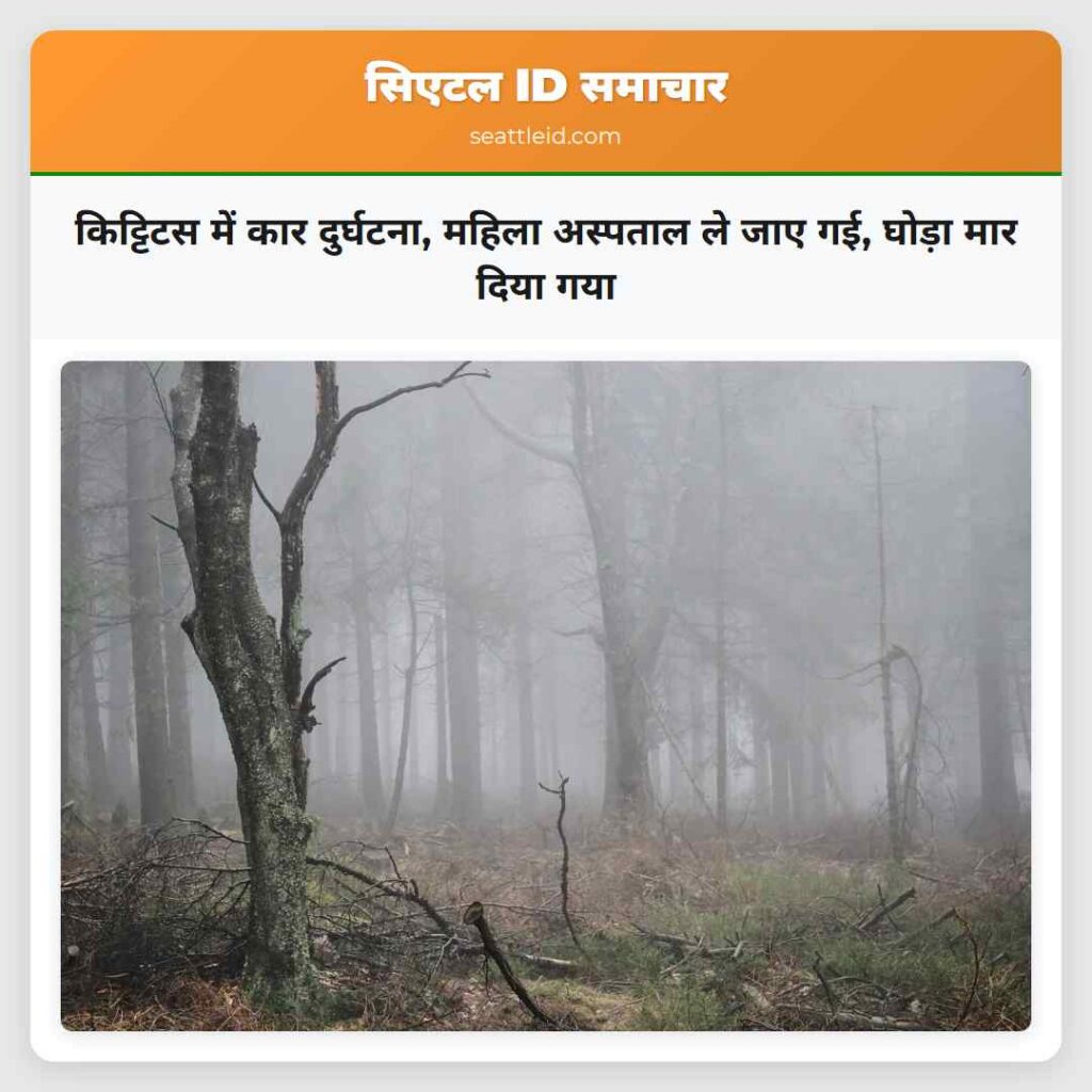 किट्टिटस में कार दुर्घटना, महिला अस्पताल ले जाए