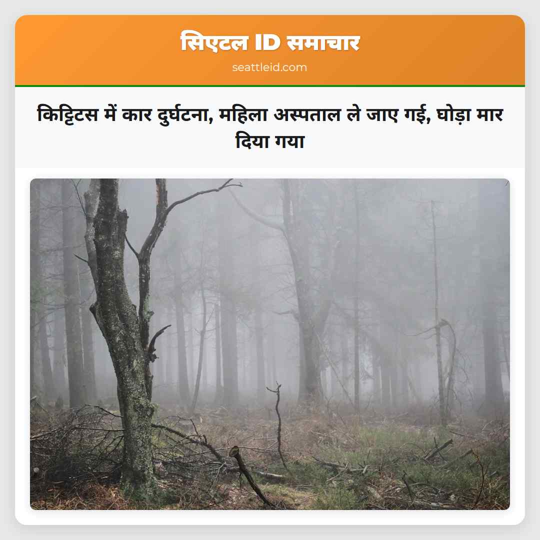 किट्टिटस में कार दुर्घटना, महिला अस्पताल ले जाए