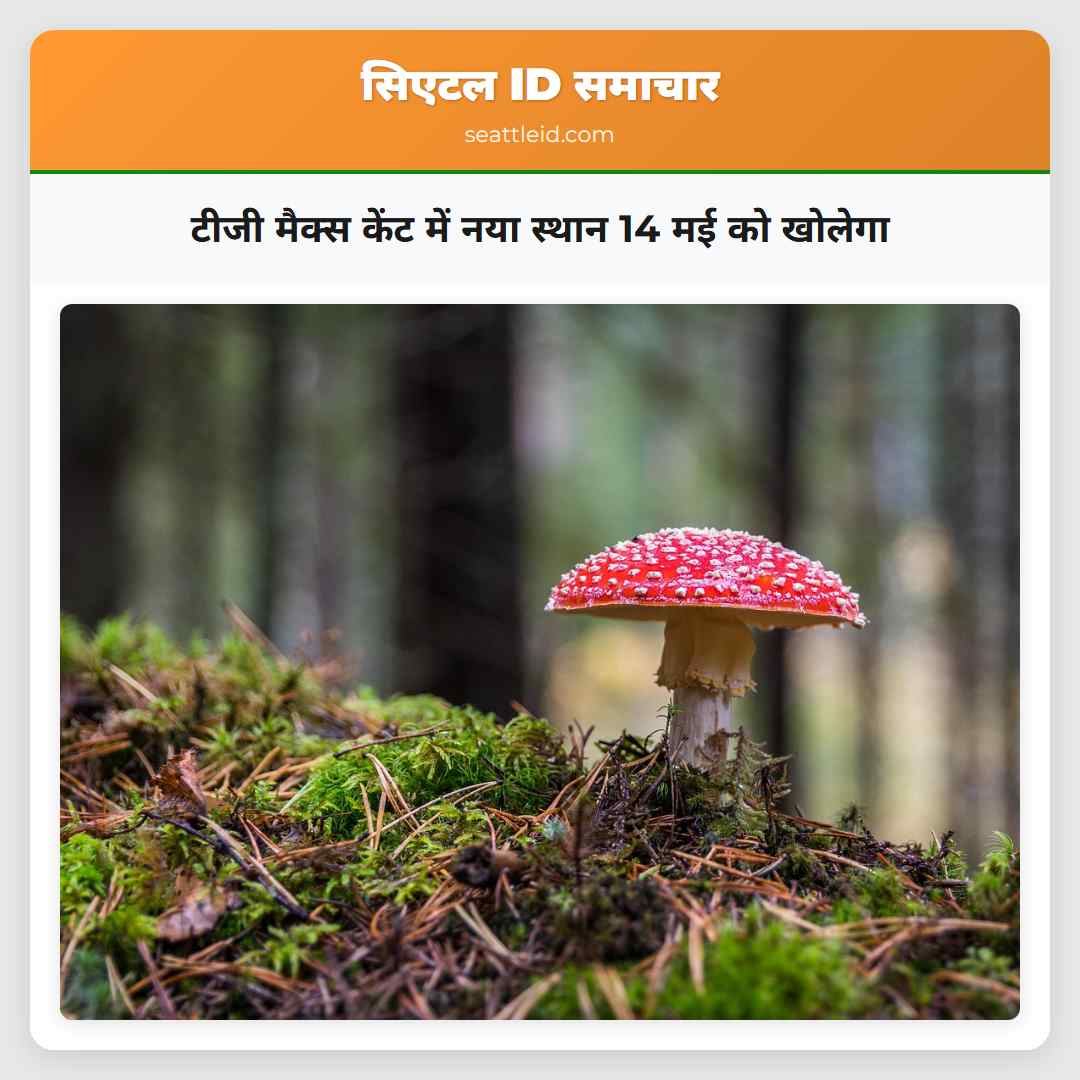 टीजी मैक्स केंट में नया स्थान 14 मई को खोलेगा