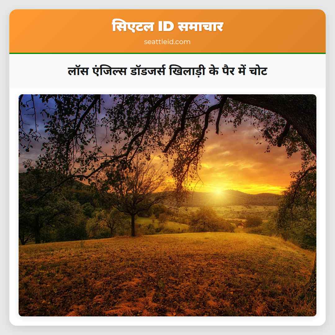 लॉस एंजिल्स डॉडजर्स खिलाड़ी के पैर में चोट