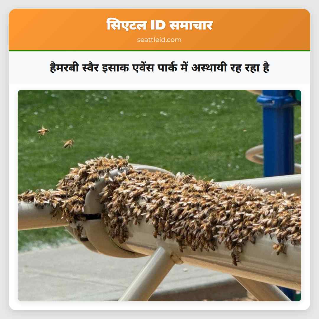 हैमरबी स्वैर इसाक एवेंस पार्क में अस्थायी रह रहा